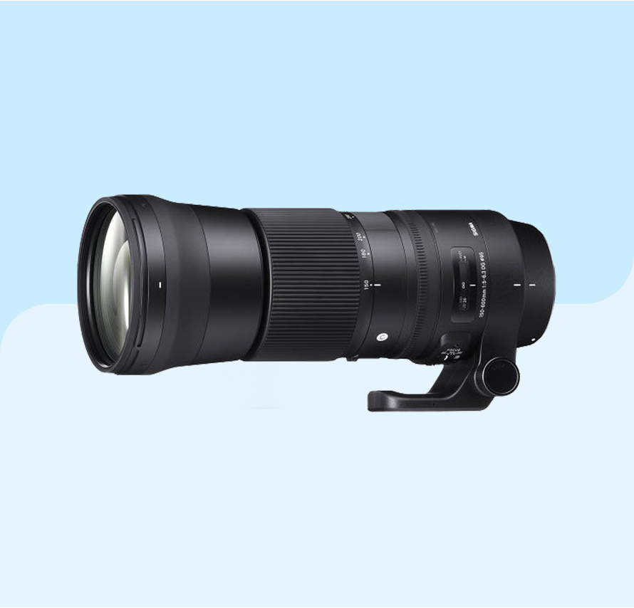 sigma150-600mm.jpg