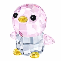 5301623 Swarovski SCS Big Brother Paco