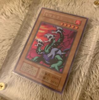 ヤマドラン」の激安通販 | magi