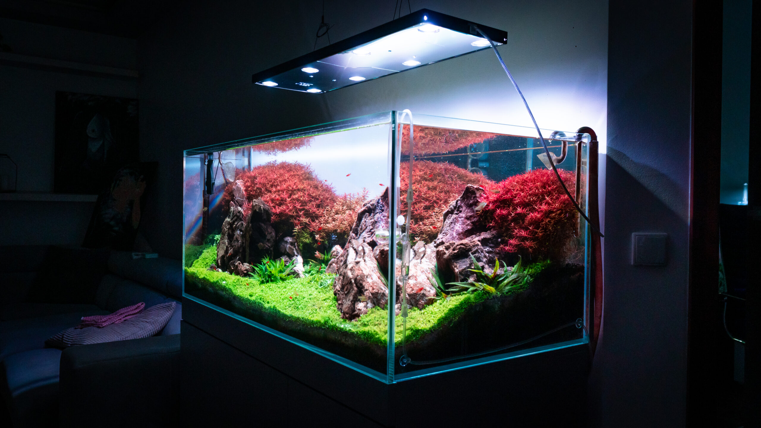 海水魚 LED 照明 ブラックボックス