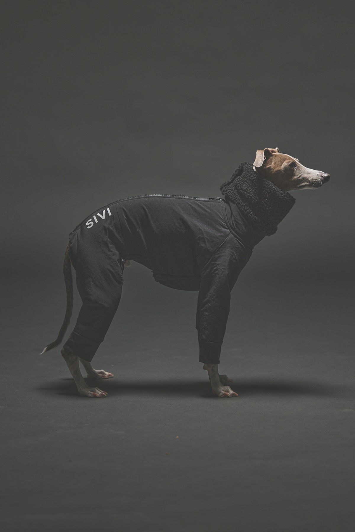 SIVI ブラック フリース犬服 フード付き SIVI ウィンタースーツ｜撥水