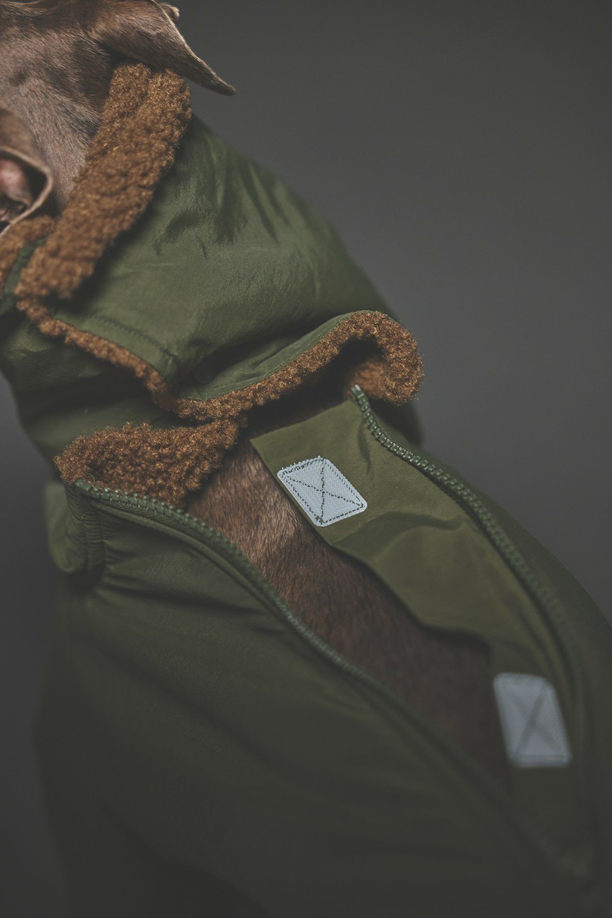 SIVI ウィンタースーツ｜撥水・防水 | SIVI｜イタグレ 服・ウィペット