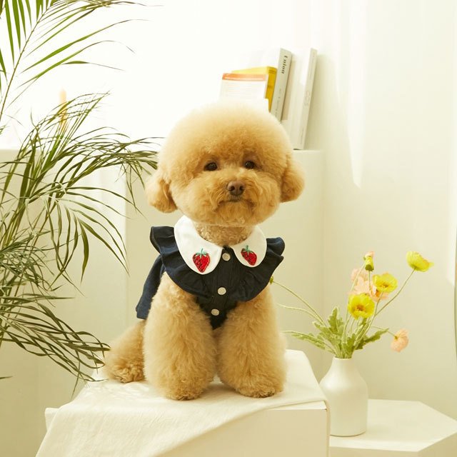 ハンドメイド犬服 ペット用品 ひろみん様専用いちごちゃん犬服