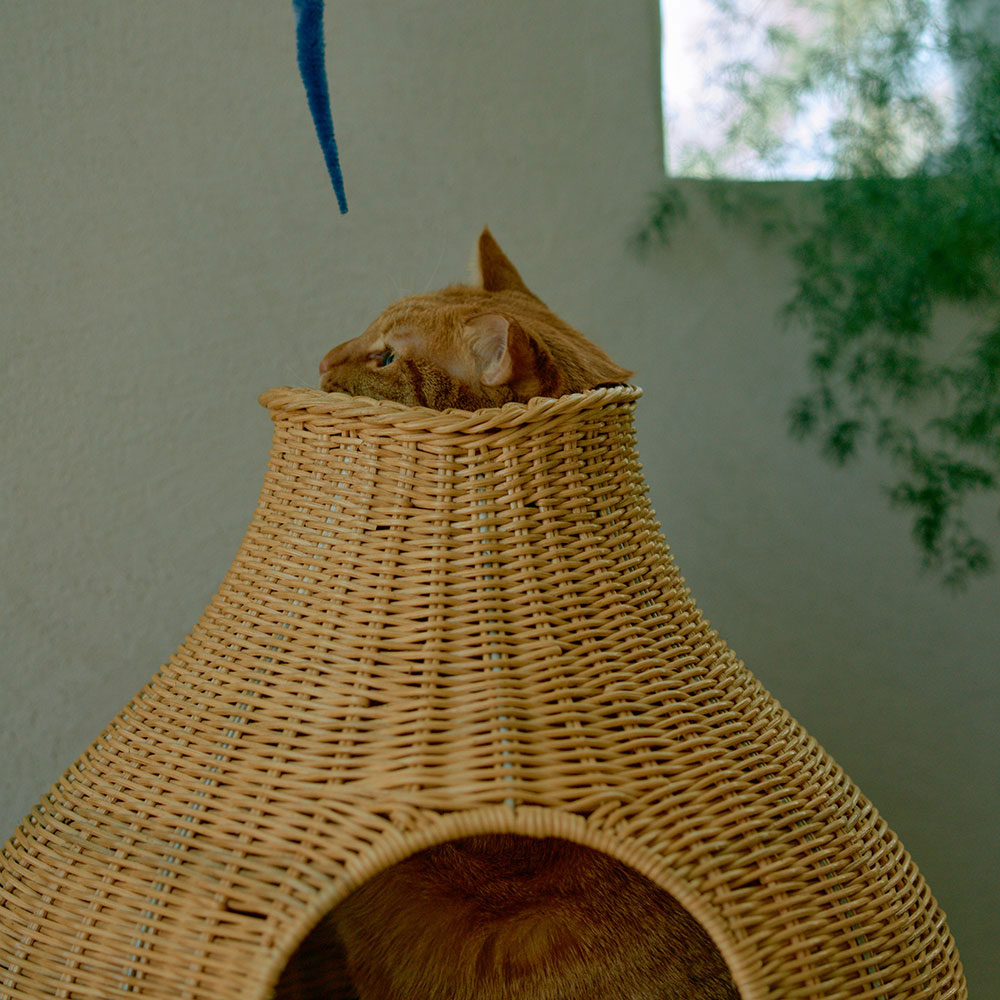 オルネコ・ガーリックネコハウス: インテリア・ライフスタイル