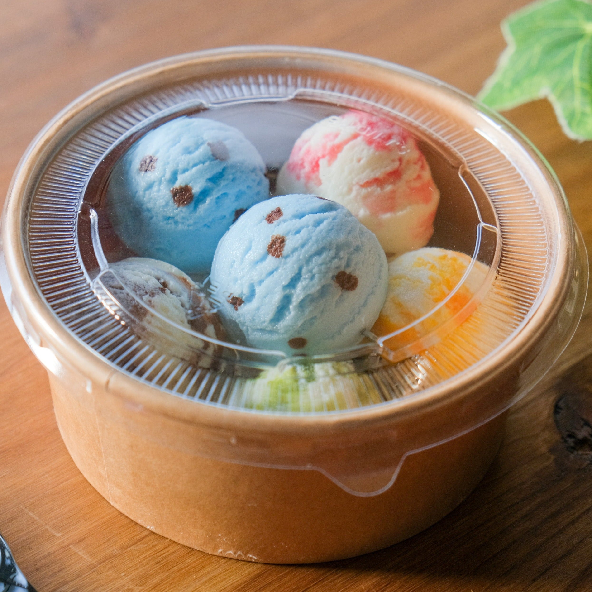 IMG_5082.jpg?v=1750118372&