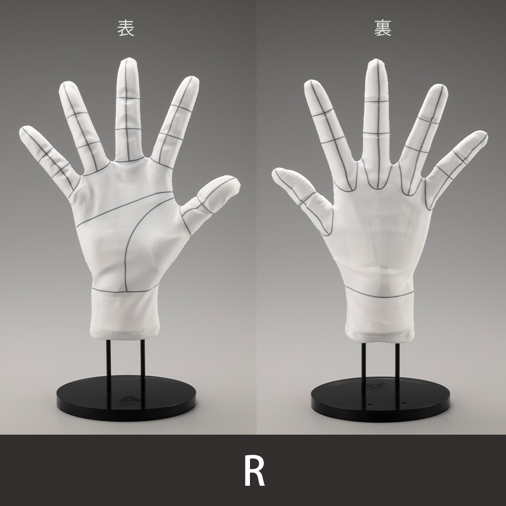 ARTIST SUPPORT ITEM ハンドモデル専用手袋/R -Wireframe-(R