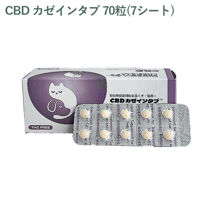 cptcas-070.jpg