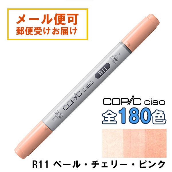 r11-re1.jpg