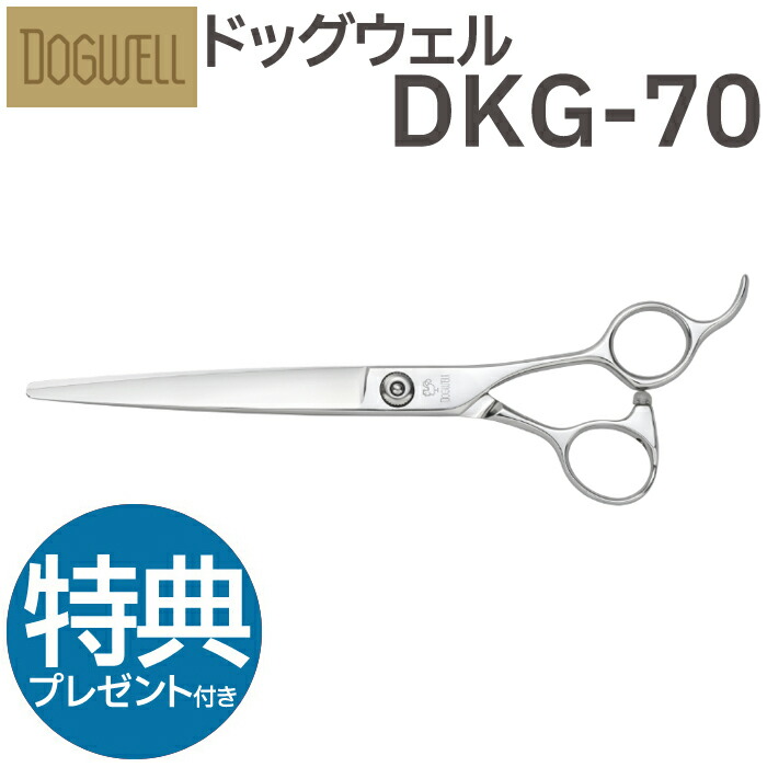 dkg70-pre.jpg