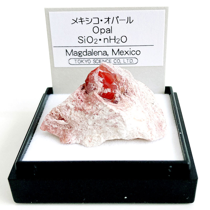 楽天市場】砂金（オーストラリア） 鉱物 標本 東京サイエンス ミニ鉱物