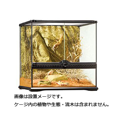 エキゾテラ グラステラリウム 3045 流木付き エクゾテラ グラス