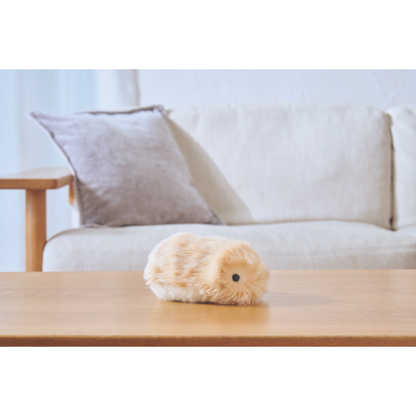 カシオ モフリンゴールド | シャディギフトモール