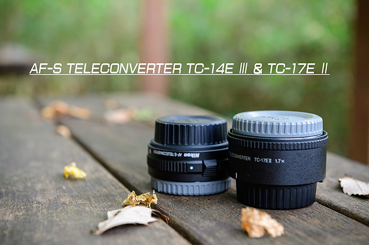 AF-S TELECONVERTER TC-14E Ⅲ/TC-17E Ⅱ | Shades Of Heart