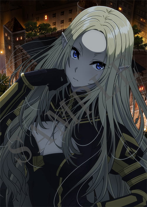 陰の実力者になりたくて！ DVD Blu-ray 特典 A3クリアポスター Amazon