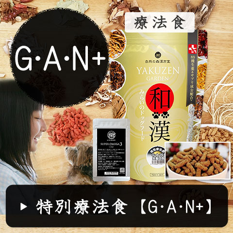 樹木ノチカラ（エキス粒・パウダー）紅豆杉エキス粒、紅豆杉茶から樹皮末へ