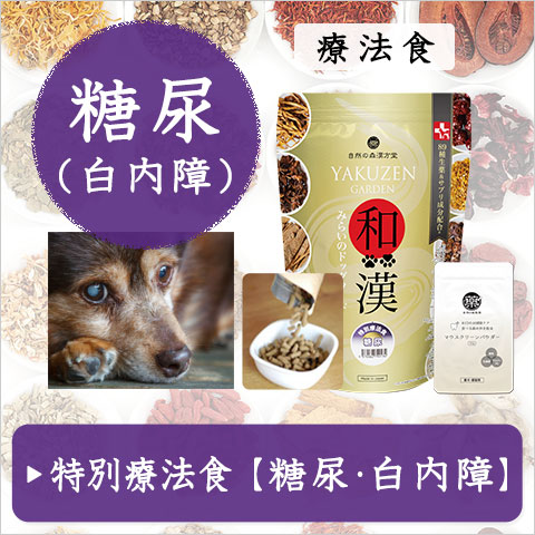 和漢みらいのドッグフード【和漢鹿肉アイケアジュレ】～和漢おやつシリーズ