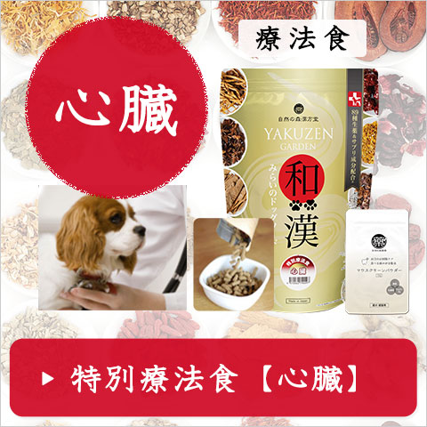 むーたん 和漢ドッグフード 3袋 和漢みらいのドッグフード（公式）～無