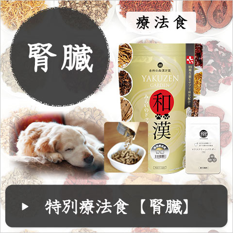 和漢みらいのドッグフード（公式）～無添加・和漢ドッグフード・自然の