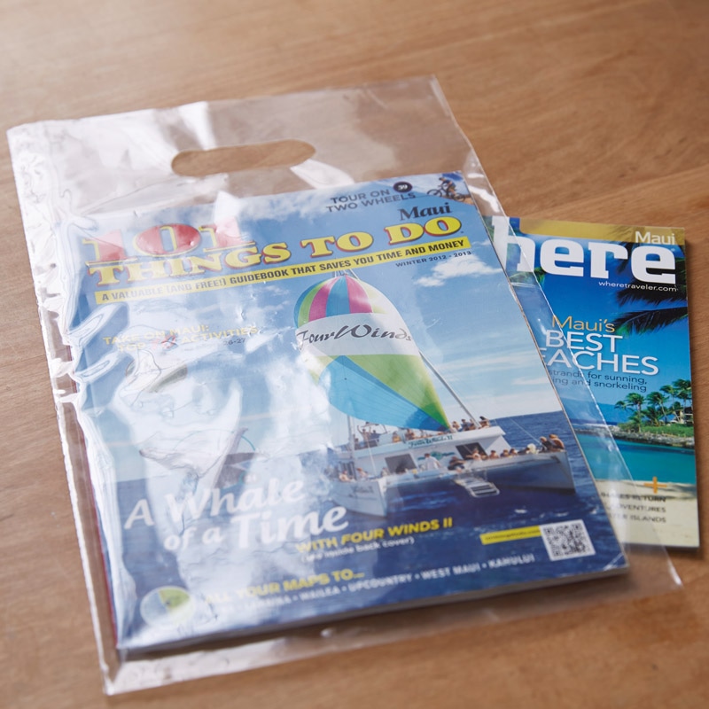 CPP袋 パンフレットバッグ A4 クリア 50枚/袋 006995376 包装用品