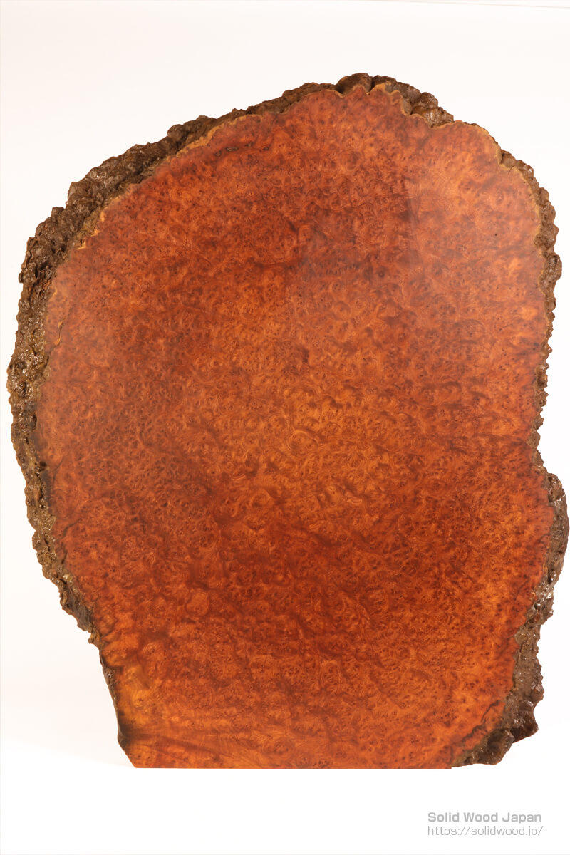 花梨コブ・アンボイナ・バールについて | 世界のバール材 | 一枚板比較