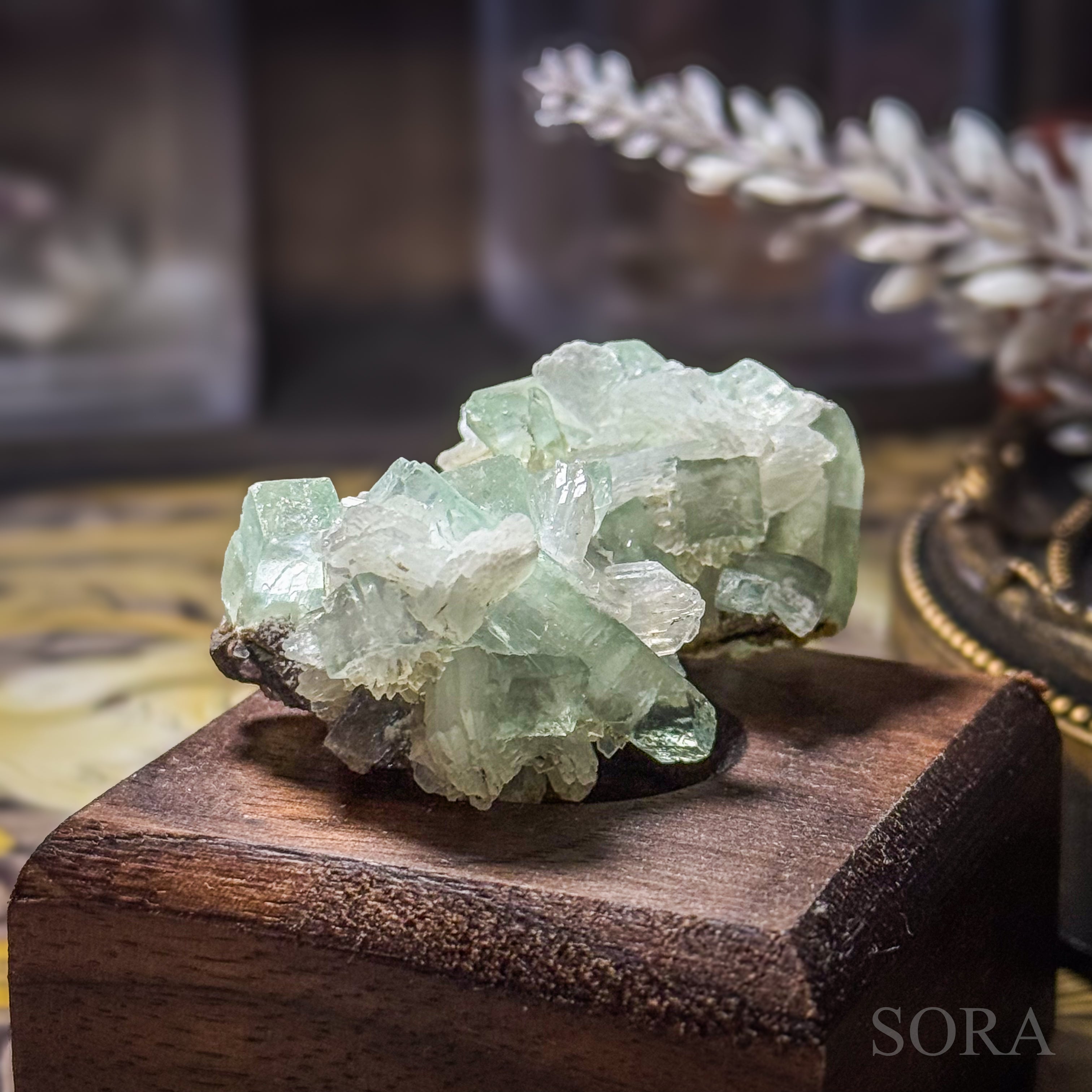 インド産 グリーンアポフィライト 1個 – SORA