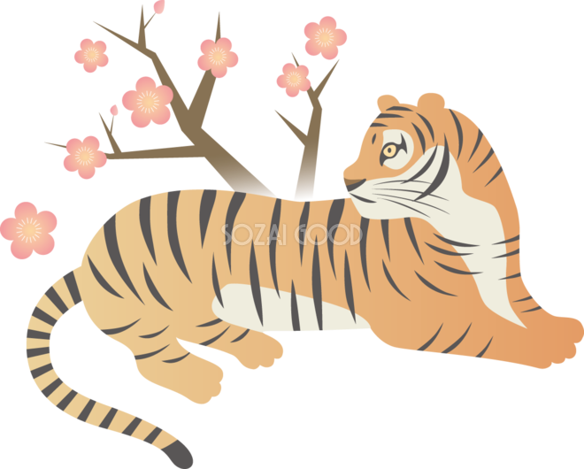 座って横を向くかっこいいトラ(虎)と梅の枝 ビジネス2022 寅年イラスト