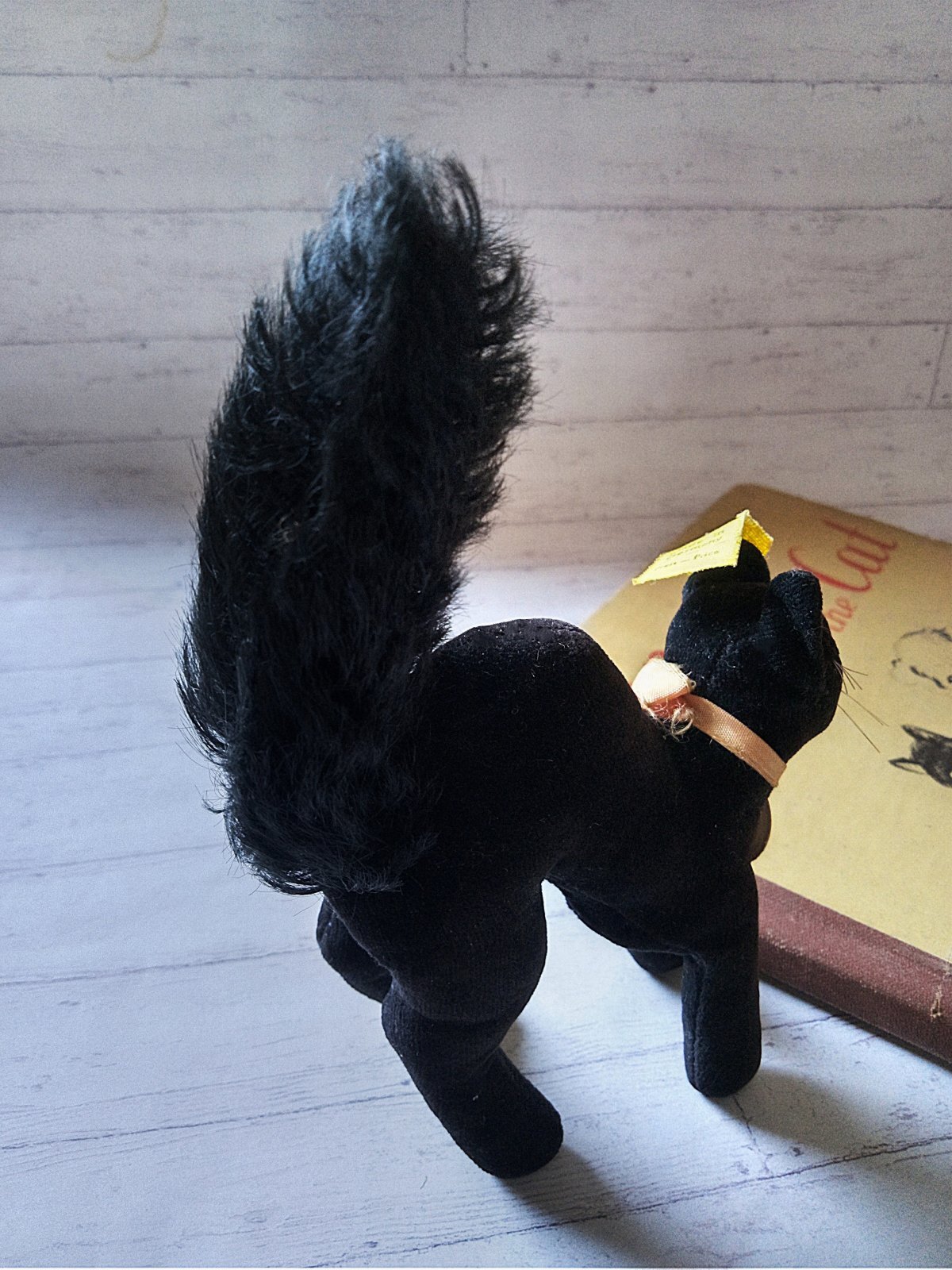 目が点になってるベルベット猫 トムキャット シュタイフ ALL ID's 黒