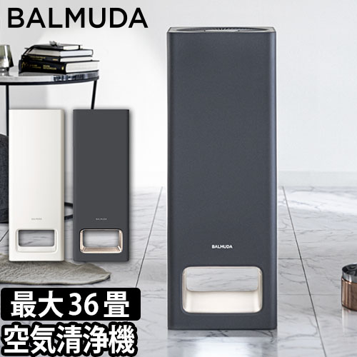 BALMUDA The Pure | セレクトショップ・AQUA（アクア）