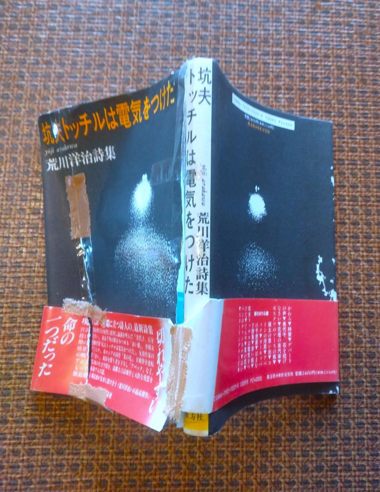 私論「まるごと賢治」…「美代子、あれは詩人だ。石を投げなさい