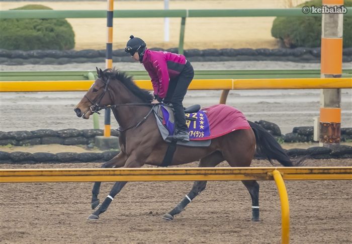 リバティアイランド - Liberty Island - 競走馬データベース | 競馬ラボ