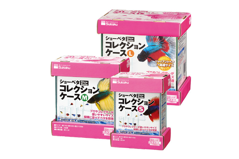 Suisaku ショーベタ コレクションケース M｜商品器具 - Goods