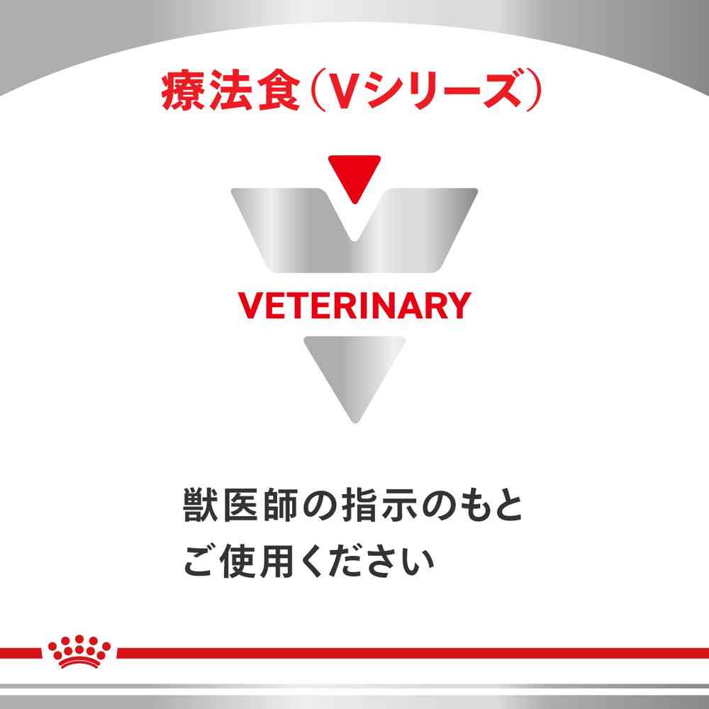 ロイヤルカノン 犬用 腎臓サポート 8kg ROYALCANIN 療法食 【公式通販】