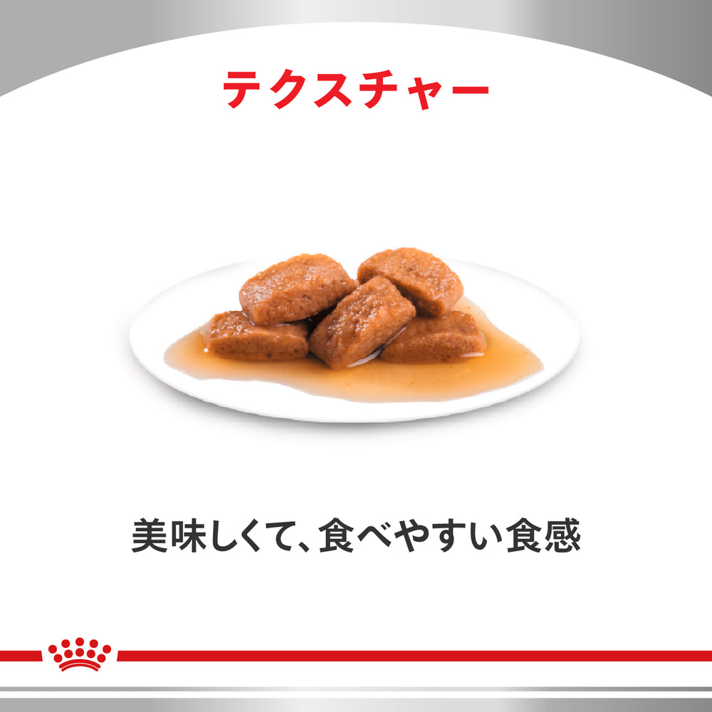 ロイヤルカナン 消化器サポート 可溶性繊維 ウェット 85g×24パック×2箱 猫