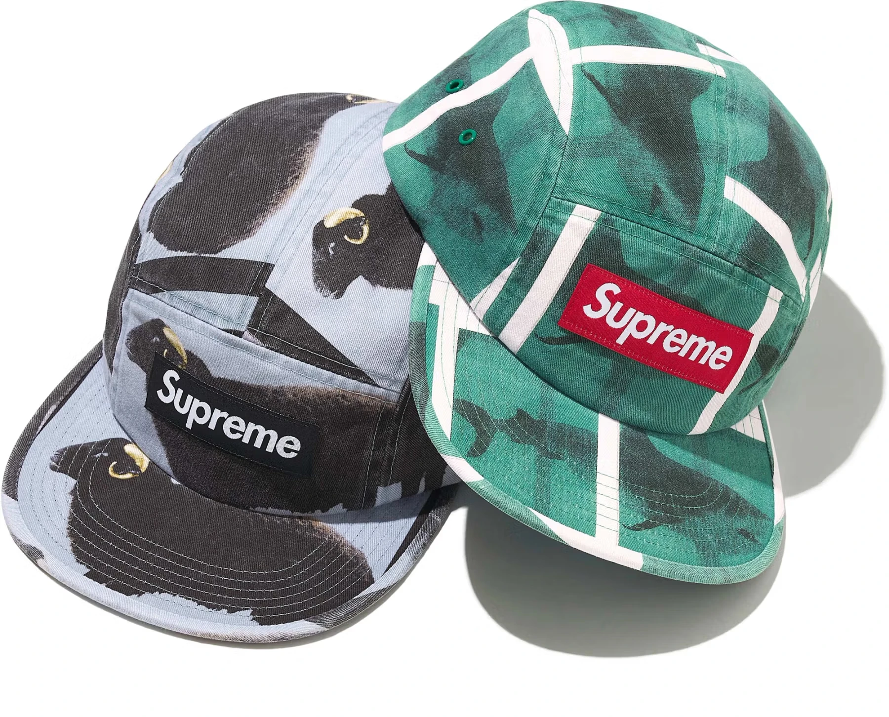 Supreme/Damien Hirst Camp Cap | Supreme 25ss