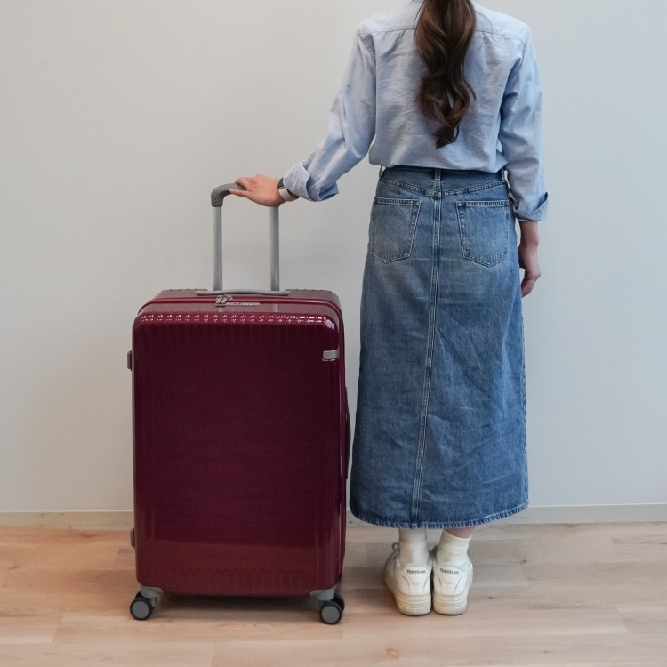 ace.／エース パリセイド3-Z 06915 スーツケース キャスターストッパー