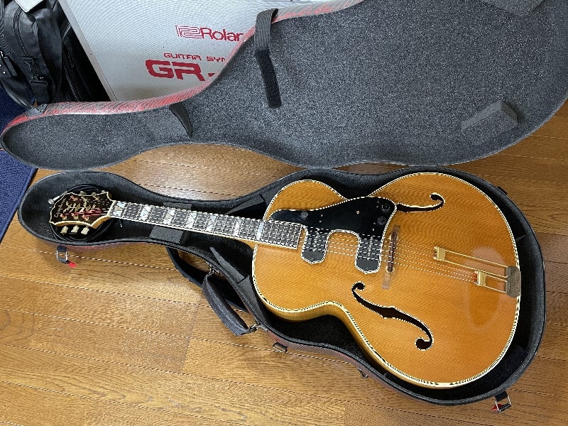 Epiphone Emperor W/PU ナチュラル 年式不明 Epiphone Emperor W/PU