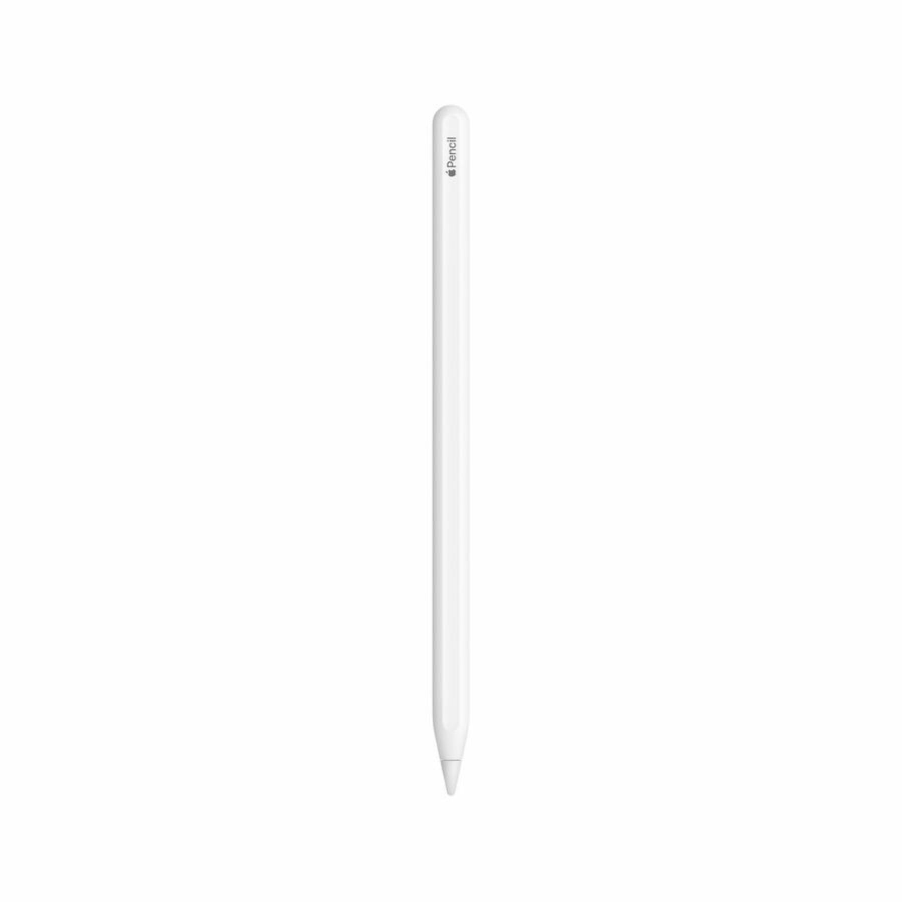 Apple Pencil (2nd Generation) - White | San Jose State University