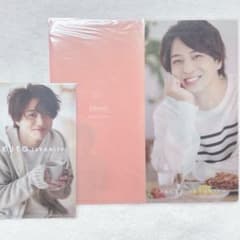timelesz 寺西拓人 ポートレート チケットファイル ミニクリアファイル