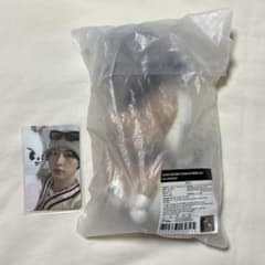 straykids popup リノ メンプロ スンドゥンドリ トレカ - メルカリ
