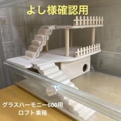 m34303497539_1.jpg?1750065055