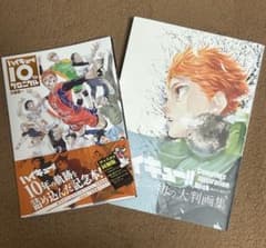 ハイキュー!! 10周年記念本とイラスト集セット - メルカリ