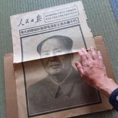 m47241566903_1.jpg?1739579281