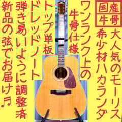 国産☆牛骨】MORRIS！M-601！ハカランダ！【弾き易く調整☆新品弦