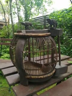 m66009719958_1.jpg?1748346998