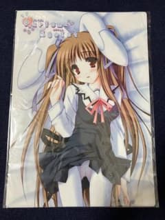 非売品】Purism×Egoist 萌木原ふみたけ A3 ビニールポスター - メルカリ
