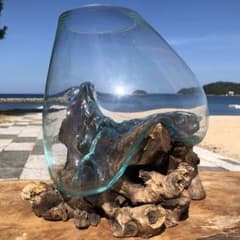 流木ガラス オブジェ超特大D 花瓶 金魚鉢 水槽 テラリウム 観賞魚
