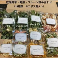 乾燥野草・野菜・フルーツ詰め合わせ 小動物 うさぎ チンチラ