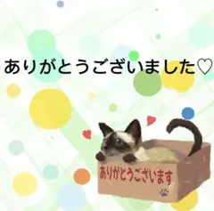9199】海外 マステ 中古巻 貝殻光マスキングテープ 苺 果物 お花 装飾