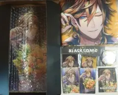 2026年最新】ブラソニ vipの人気アイテム - メルカリ