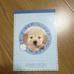 2026年最新】こぱむだの人気アイテム - メルカリ